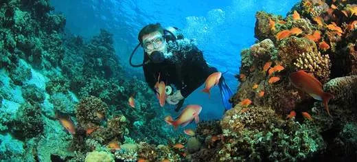 How Many Scuba Dives Can You Do in a Day?